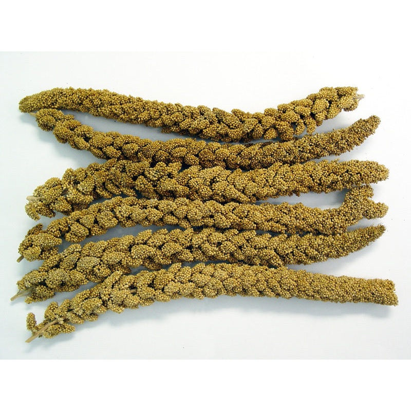 Higgins Spray Millet Treat