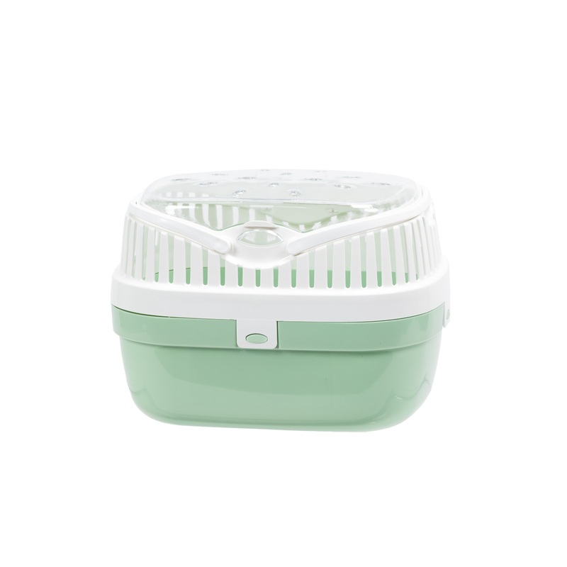 ALADINO MEDIUM|MEDIUM|Lilac|Light green