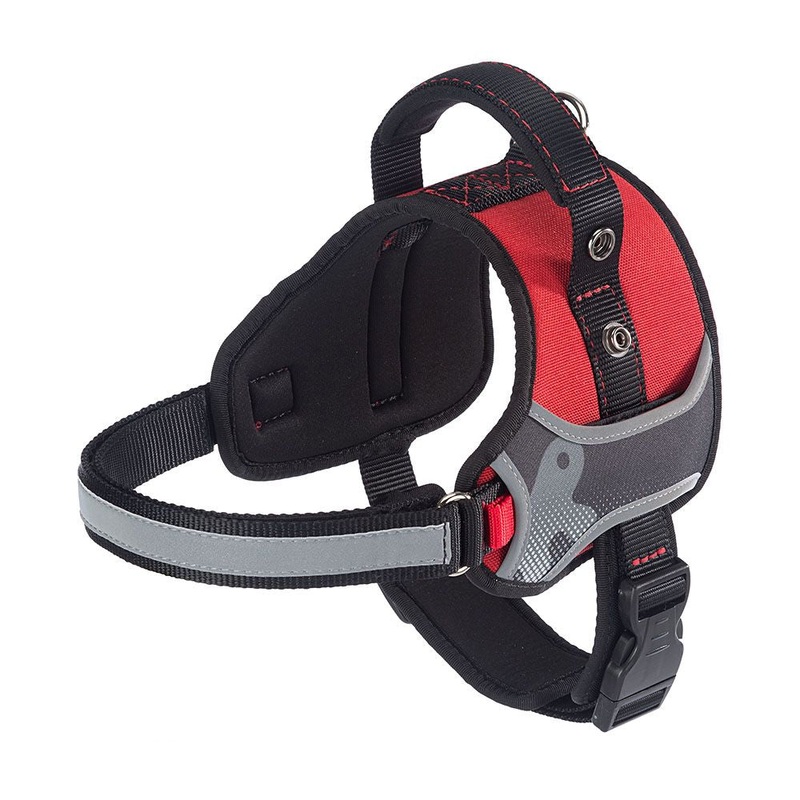 HERCULES P S|Black|Red|Blue