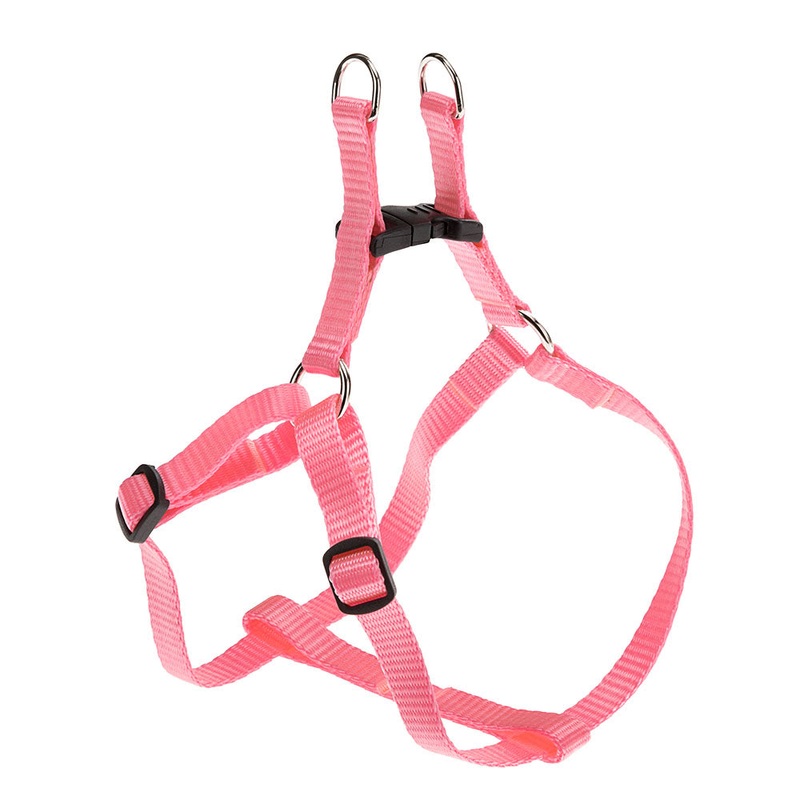 EASY P|XXS|EXTRA SMALL|SMALL|MEDIUM|LARGE|EXTRA LARGE|Pink|Black|Red|Blue|Orange|Grey|Green|Brown