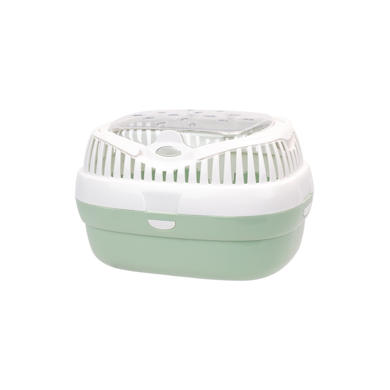 ALADINO LARGE|LARGE|Light green|Lilac