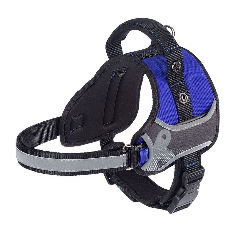 HERCULES P XS|Black|Red|Blue