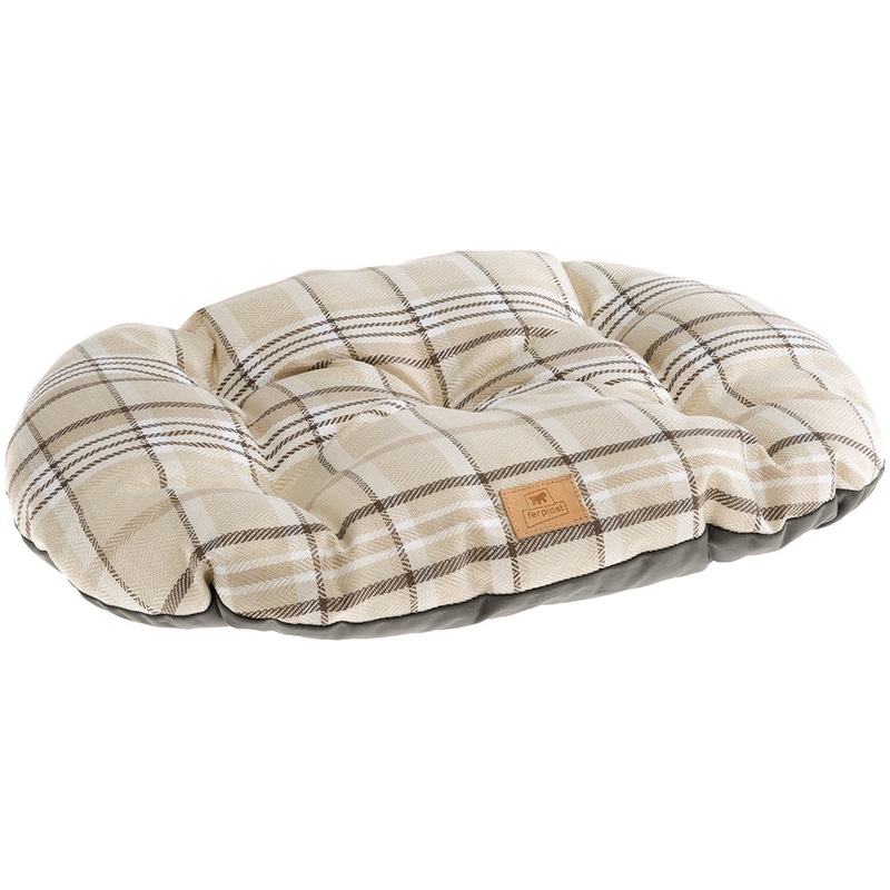 SCOTT|45/2|55/4|65/6|78/8|89/10|Brown|Blue