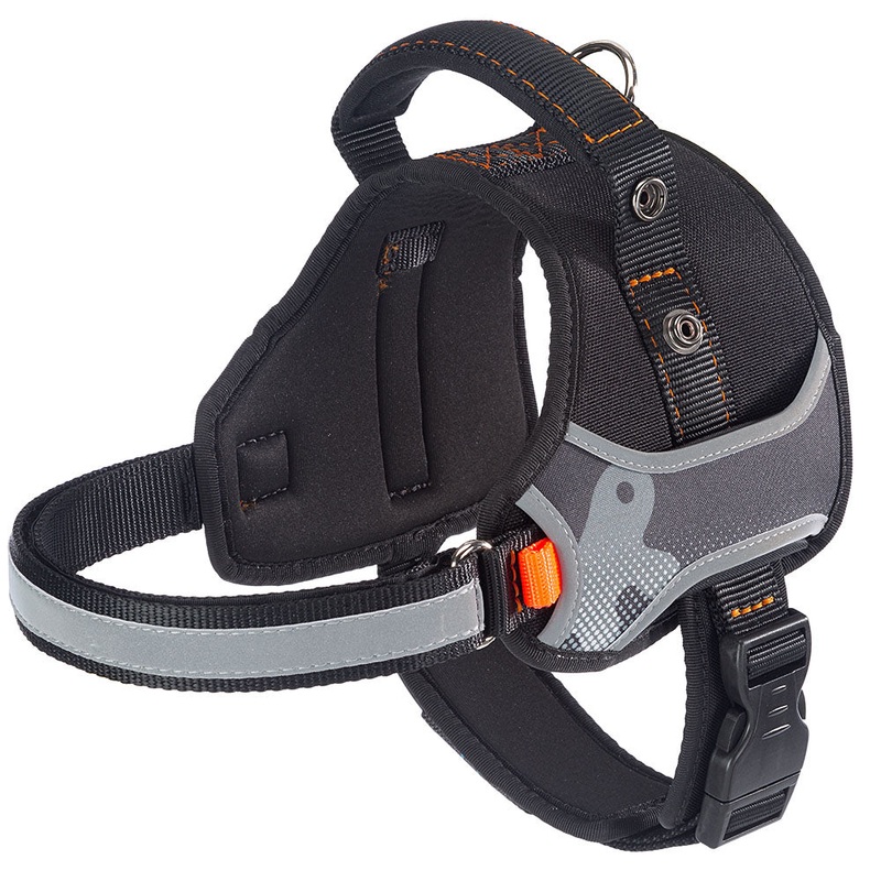 HERCULES P M|Black|Red|Blue