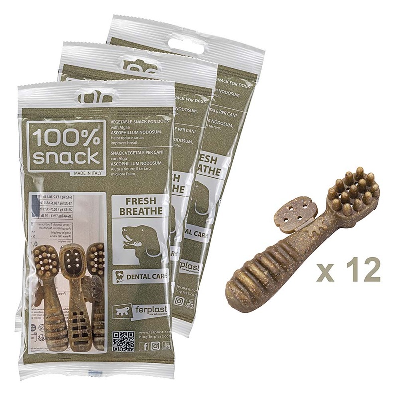 100% SNACK FILLABLE –  TOOTHBRUSH ASCOPHILLUM