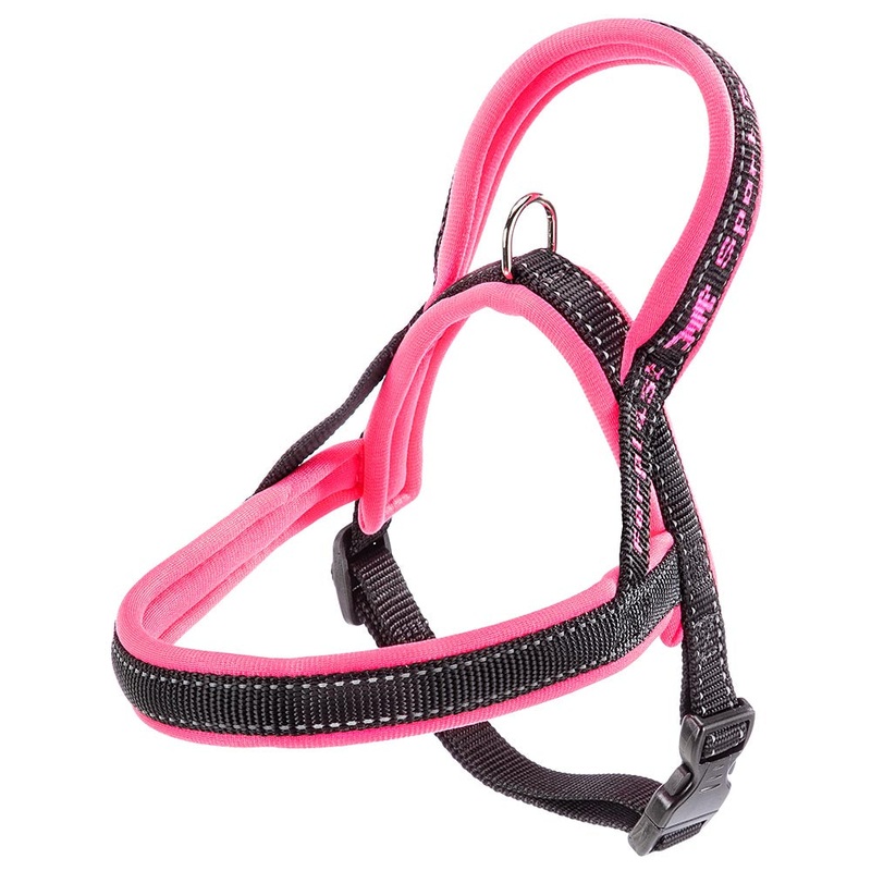 SPORT DOG P|XS|LARGE|SMALL|MEDIUM|Fuchsia|Grey|Lilac|Blue|Yellow