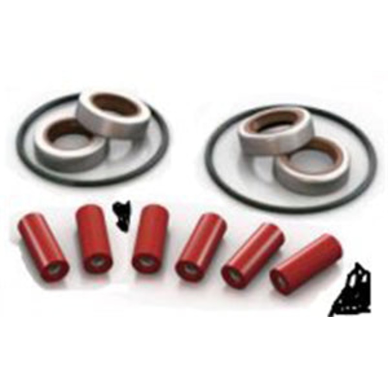 DELAVAN 6 ROLLER REPAIR KIT