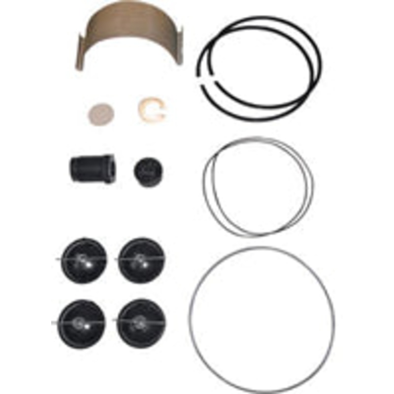 FILL-RITE 5200KTF1828 FUEL TRANSFER PUMP REPAIR KIT FOR SERIES 5200