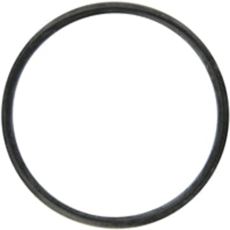 LINE STRAINER GASKET – EPDM 3  FOR END CAP