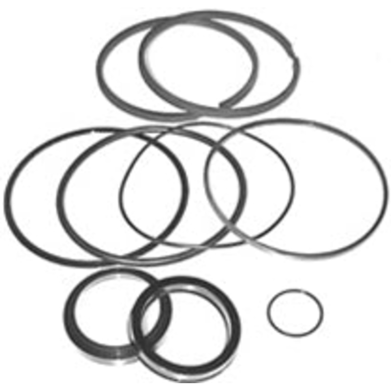 SEAL KIT 2” BORE 1-1/2” ROD WELDED