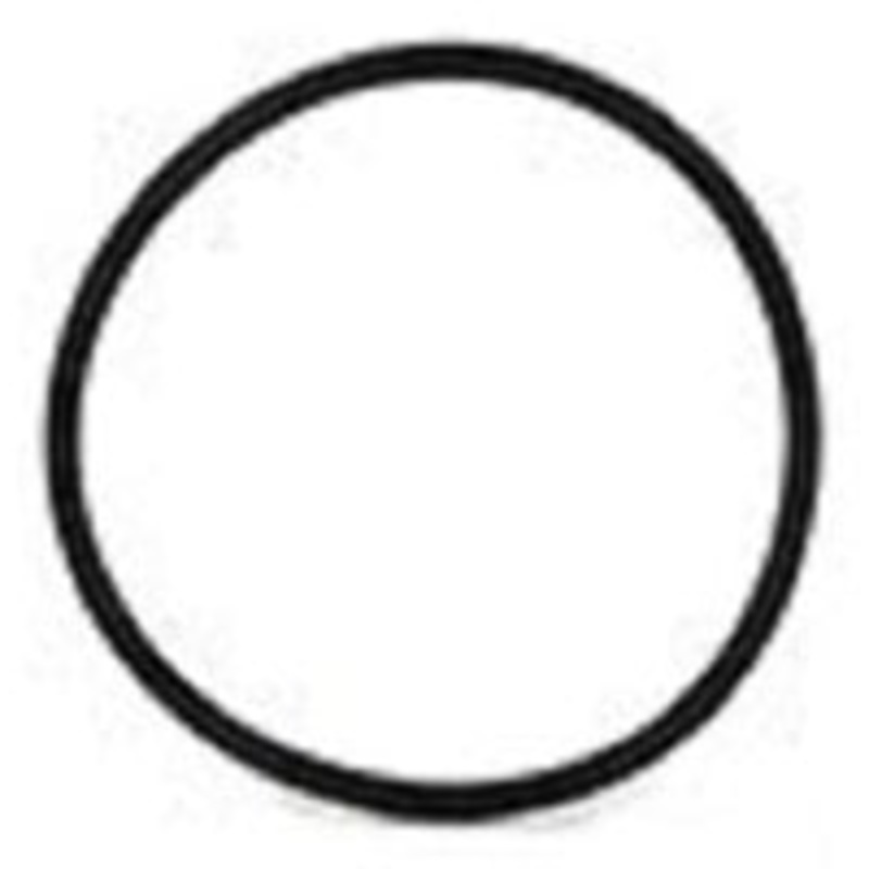 20| HYPRO O-RING FOR PLUG