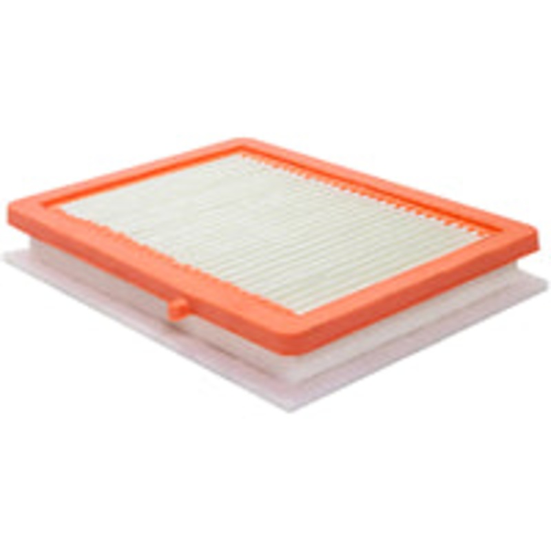 Baldwin Air Filter (PA10091)
