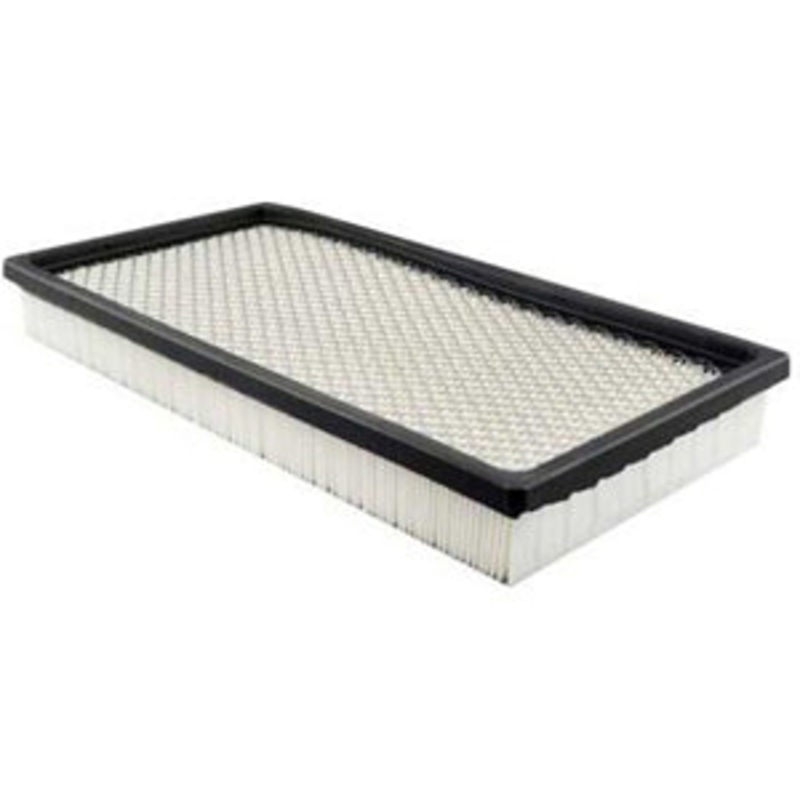 Baldwin Air Filter (PA2163)